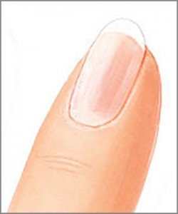 naturnaegel-finger